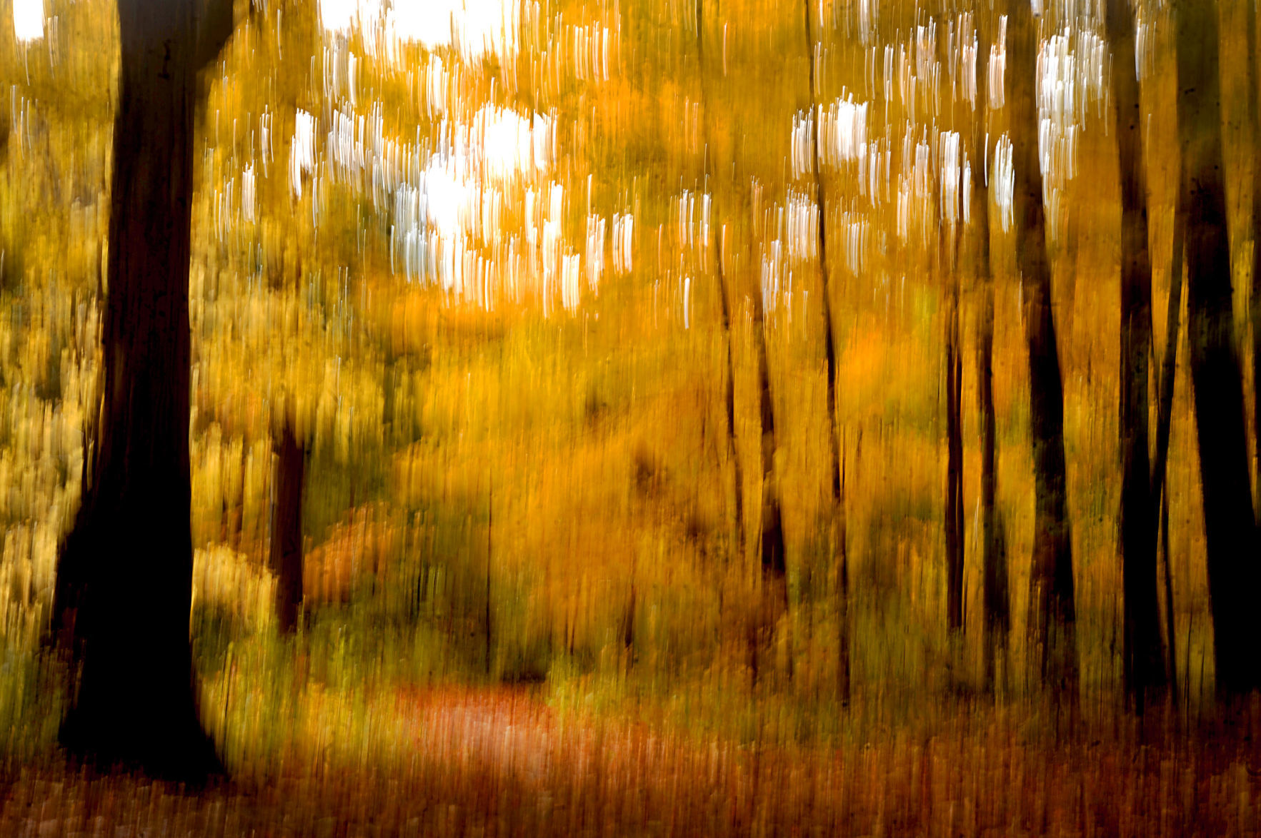 Like a painting of Maple Grove Park